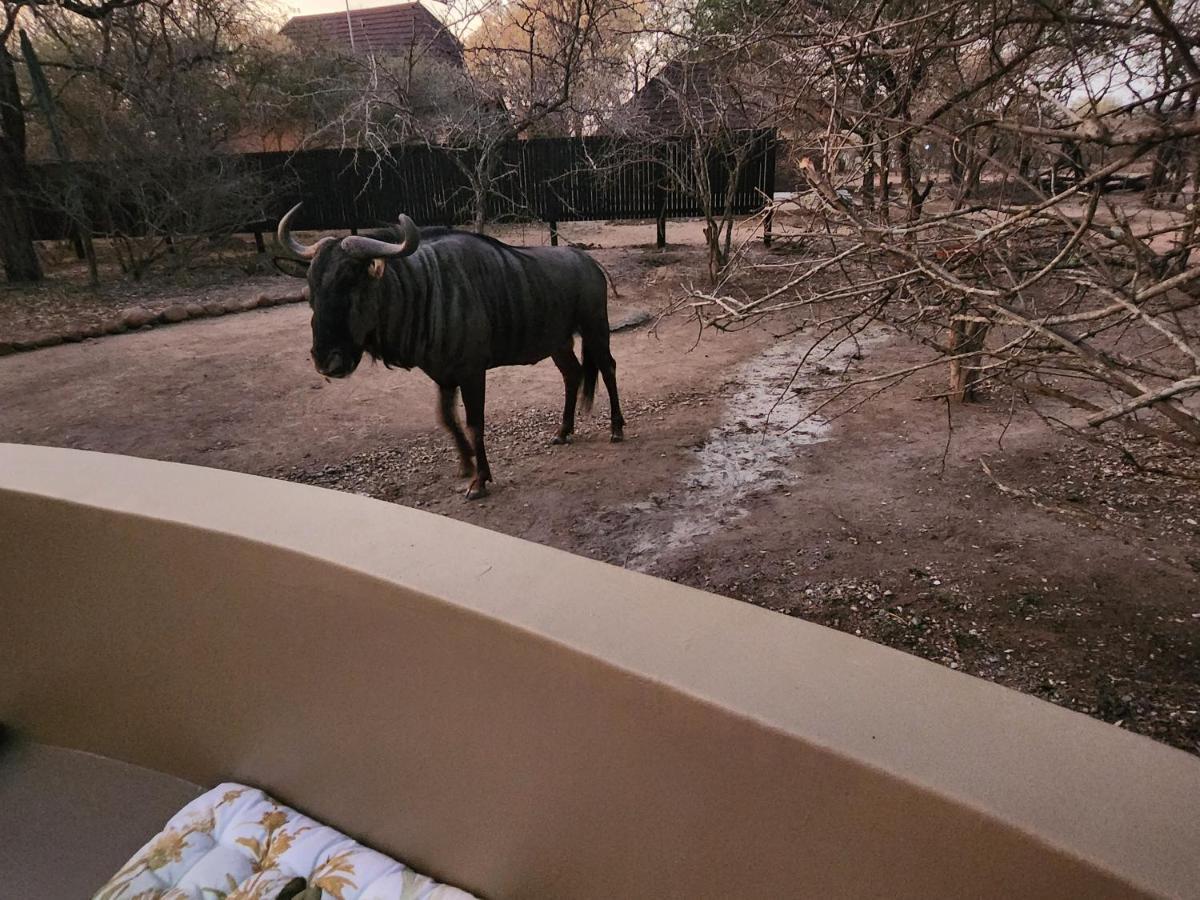 Kudus Crest Bush Retreat Apartment Marloth Park Exterior photo